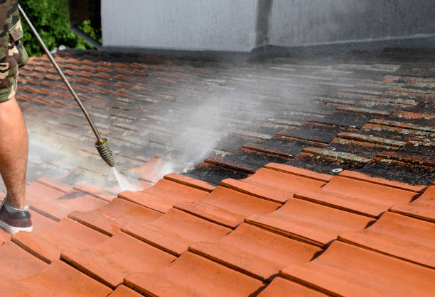 Best Roof Pressure Washing  in Lakeport, TX